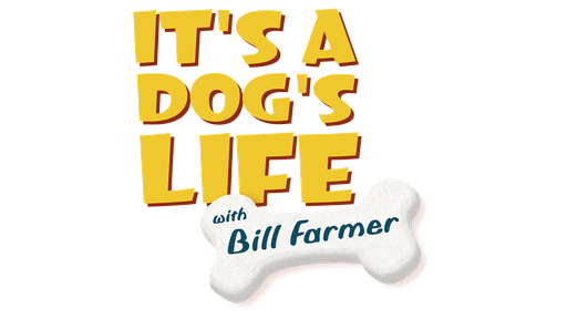 It'sADog'sLife.png