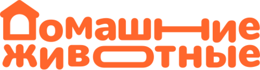 Домашниеживотные.am.png