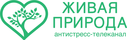 Живаяприрода.am.png