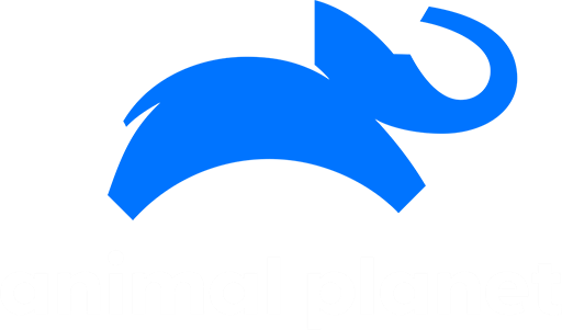 Animalplanet.am.png