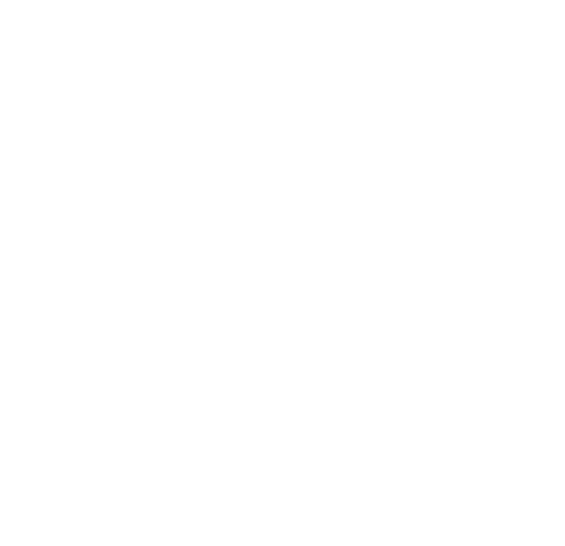 A1.by.png