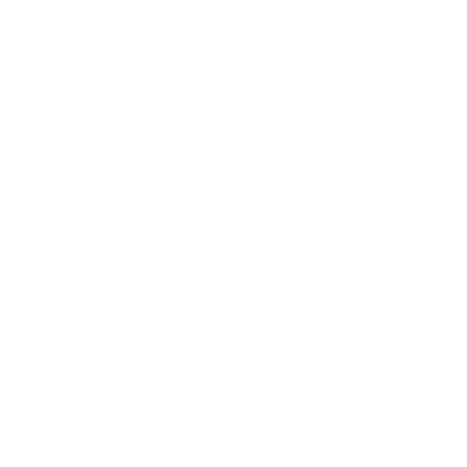 Brazilian Campeonato Capixaba.png