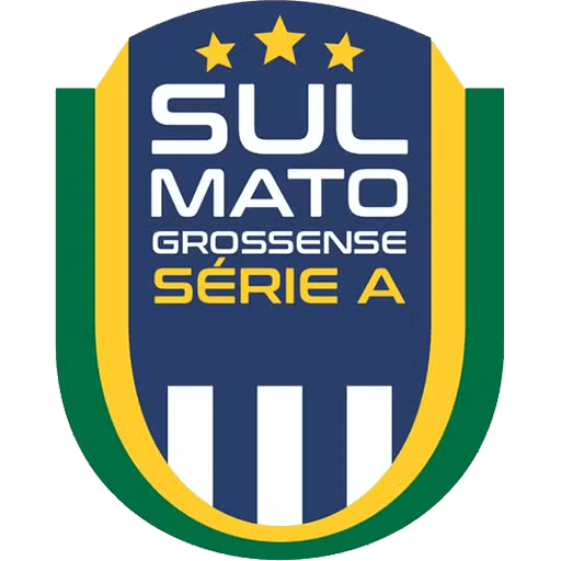 Brazilian Campeonato SulMatoGr.png