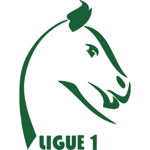Burkina Faso 1ere Division.png