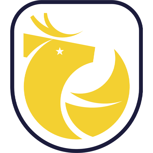Chile Primera Division.png
