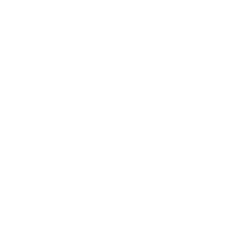 Czech Moravian-Silesian Footba.png