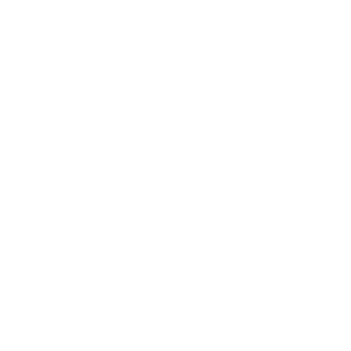 El Salvador Primera Division.png