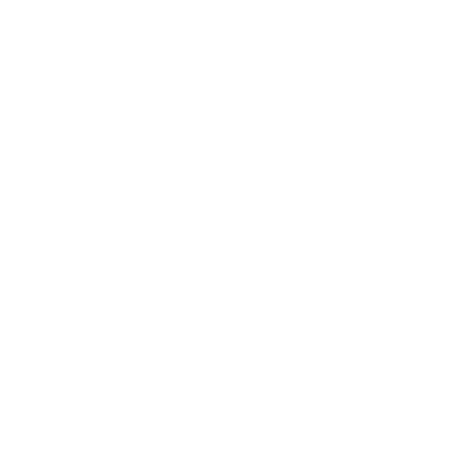 Finnish Cup.png