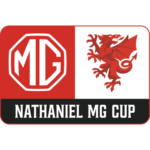 Welsh League Cup.png