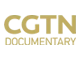 CGTNdocumentary.nz.png