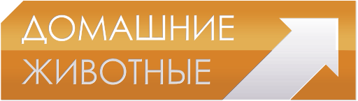 Домашниеживотные.ru.png