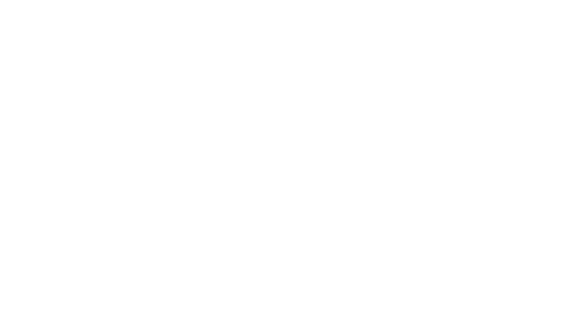 НАШЕНОВОЕКИНО.ru.png