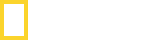 NationalGeographicChannel+1.uk.png