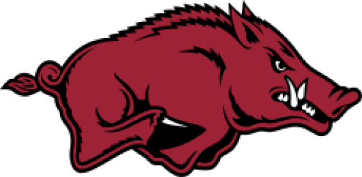 ArkansasRazorbacks.ncaaw.png