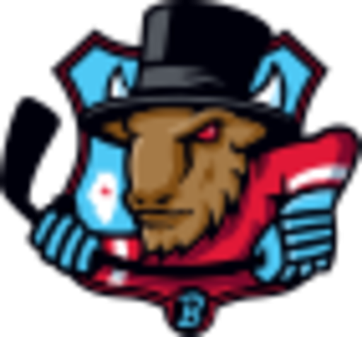 BloomingtonBison.echl.png