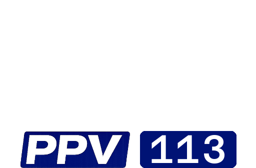 Disney+ppv113.png