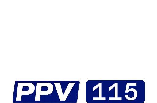 Disney+ppv115.png
