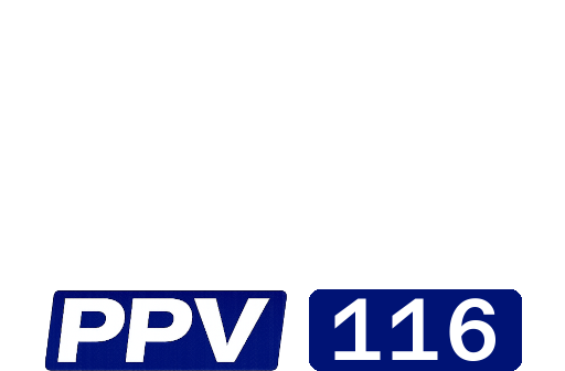 Disney+ppv116.png