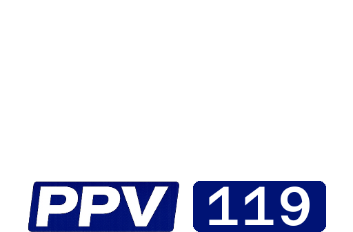 Disney+ppv119.png