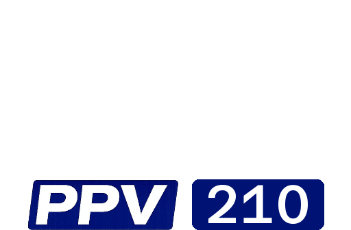 Disney+ppv210.png