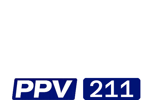 Disney+ppv211.png