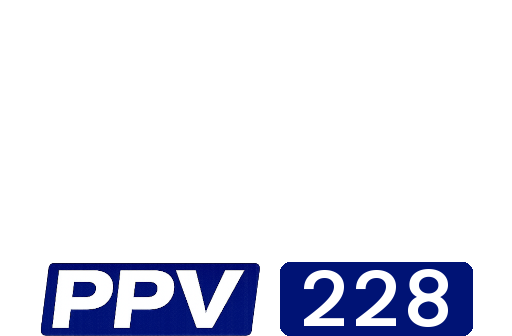 Disney+ppv228.png