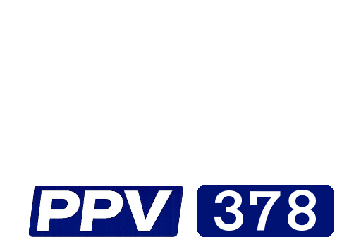 Disney+ppv378.png